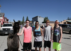 Llama Rama 07